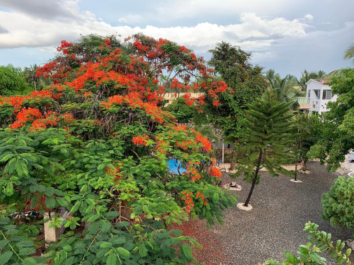 Villa Marcia Boca Chica Exterior photo